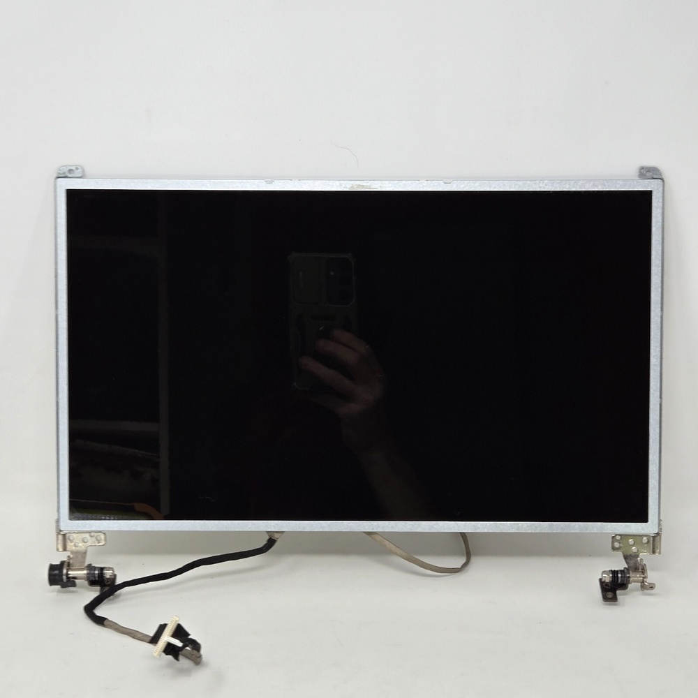 Laptop LCD 15.6" Display WXGA 1366 x 768 HD AUO B156XW02 Hinges Cables Unused